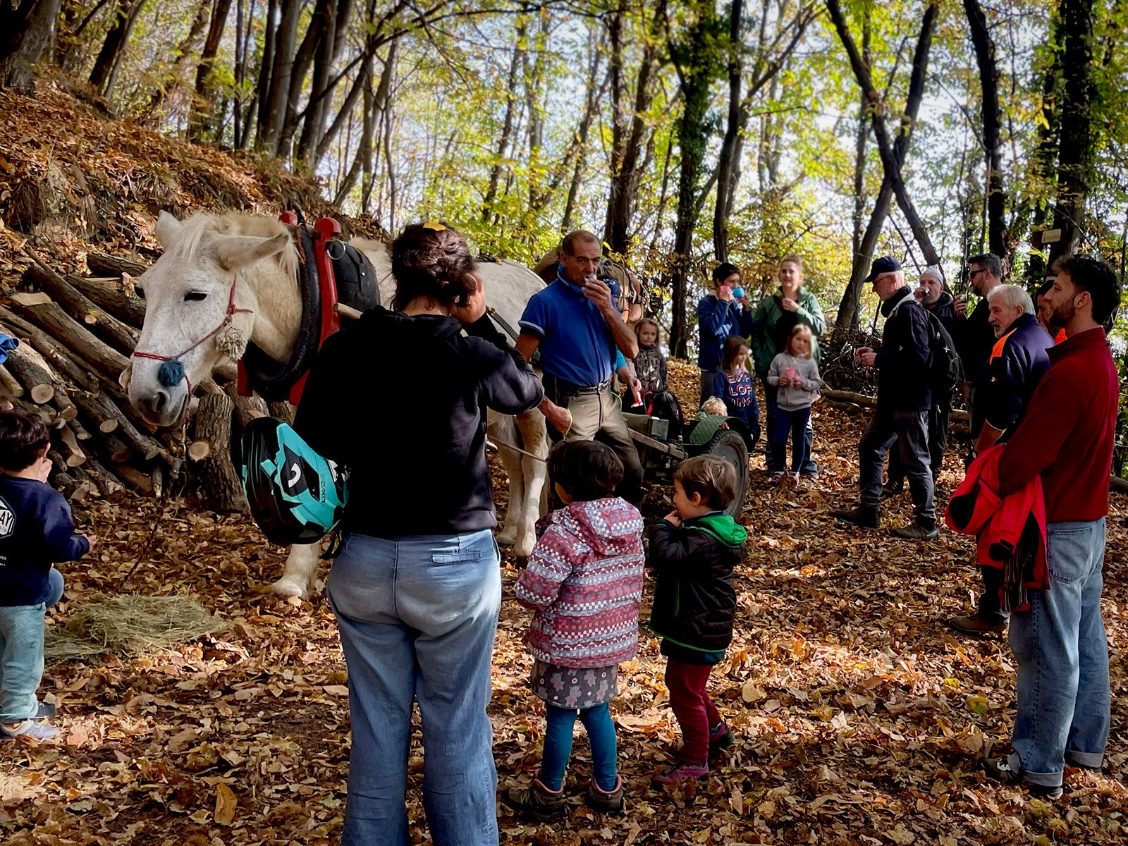 Screening of The Witness Trauma by Taya Zubova at Stone Oven House
