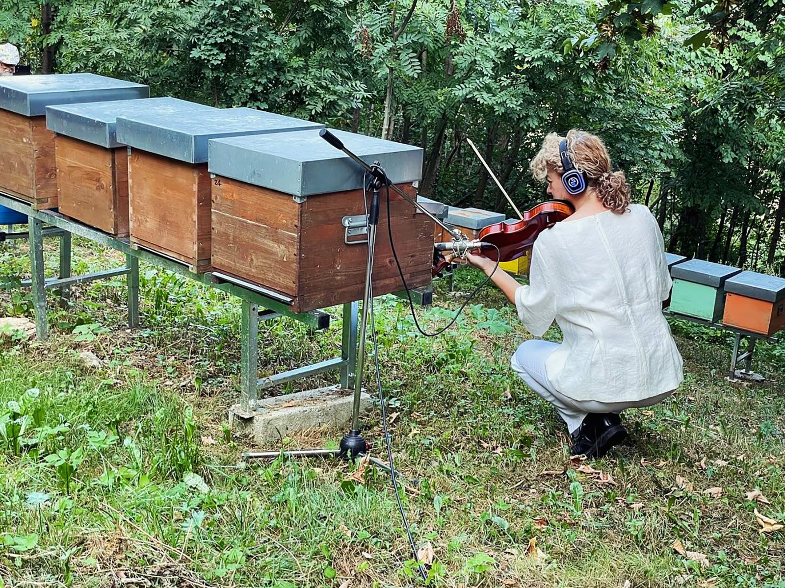 Screening of The Witness Trauma by Taya Zubova at Stone Oven House